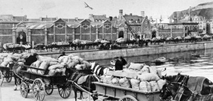 Potatoes to be exported for the forces