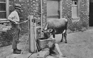A farmyard in the 1930s