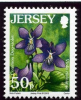 Wildflower definitives