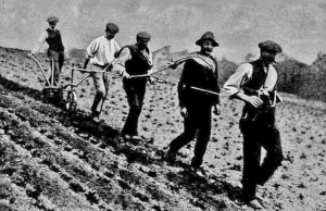Banking potatoes in the 1920s