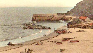 This picture has been printed in reverse