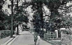 The lane leading inland from La Haule