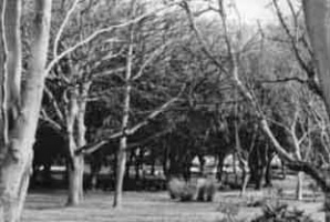 Ville es Nouaux Dolmen