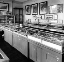 Archaeology Room, 1958