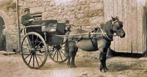 Philip Le Cuirot with a pony and trap c1936