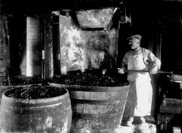 J E Cabot making cider in 1913