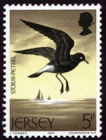 Seabirds