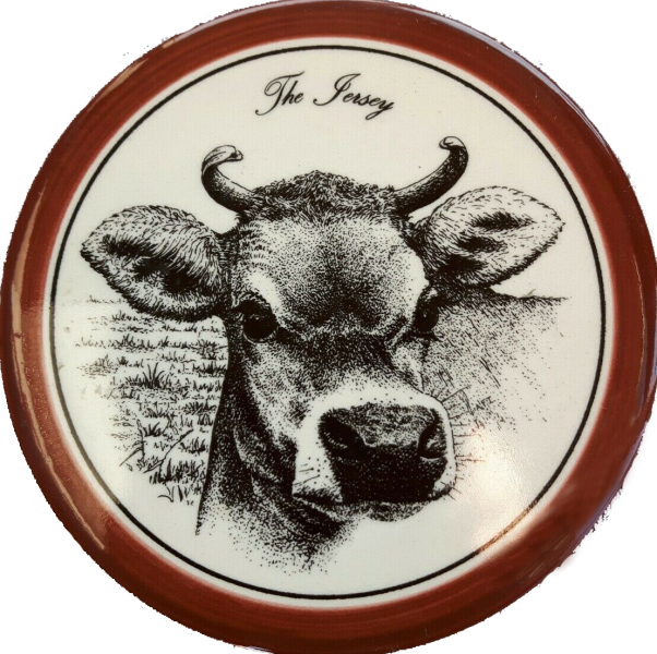 File:EUS20JerseyPotteryCoaster.png