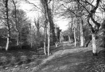 Early 20th century view of the valley by Albert Smith before it's peace and calm were destroyed by the introduction of sewage treatment works