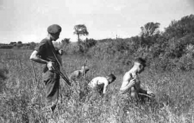 German soldiers were supervised in the clearing of mines after the Liberation