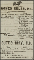 Philip Thomas Quenault, who farmed on the St Brelade side of St Peter's Barracks, advertised two of his bulls in the Chronique de Jersey in 1919, with moderate service fees of 5s and 7s 6d