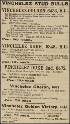 1930 advert in Chronique de Jersey