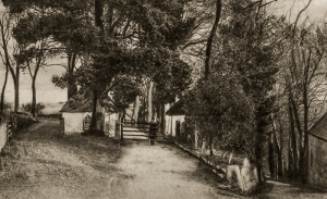 Described as 'St Lawrence Valley', this is probably one of the narrow roads off Waterworks Valley