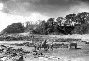 Vraic collecting in 1893 - a picture in the Victoria and Albert Museum collection