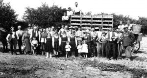 Highstead, St Saviour, in 1934