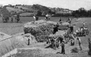 Hay making at Home Farm, Grouville in 1947