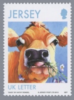 Jersey cow