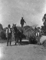Pallots bringing in the hay at Netley Green Farm, Hampshire