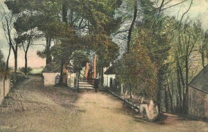 1908