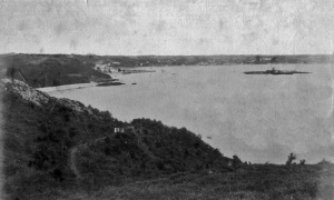 Photograph by Singleton