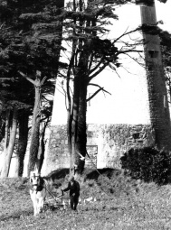Breezing, or shallow ploughing near St Ouen's Mill