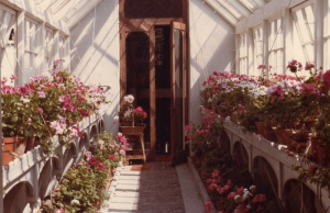 The Conservatory, between the manor and the Vinery, 1973