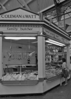 Coleman and Watt, 1982