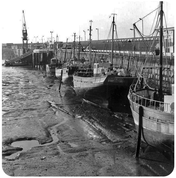 File:S24AlbertPier1960sFishingBoats.png