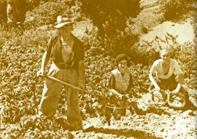 A 'complete fork' - a team of three lifting by hand