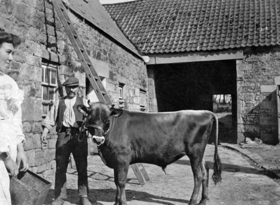 ... however, it is not clear which of the two men is James George, nor who the other man is