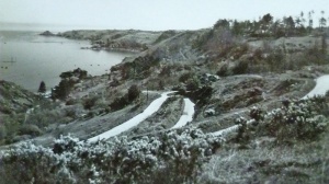 Picture by C H Cristin