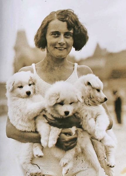 File:H25JSCLabeyAlbum1928Girl&Dogs.png