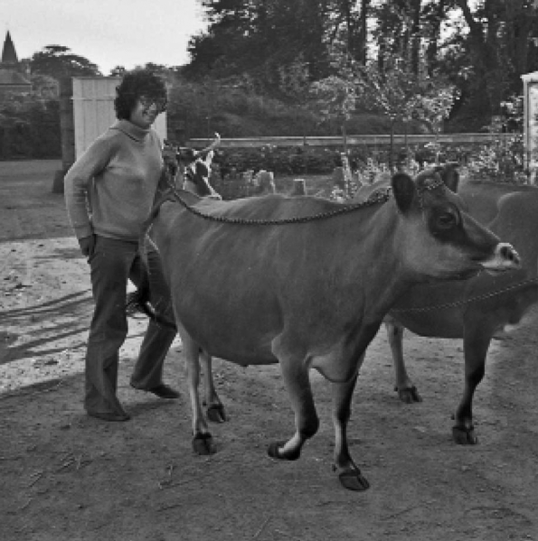 File:J25ColletteBisson&Cows1978.png