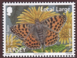 Butterflies and moths