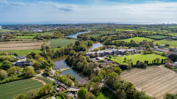 Picture by Bam Perspectives