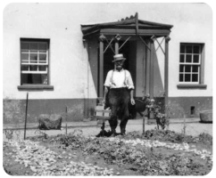 James Philip Huelin tending his potato patch in 1952
