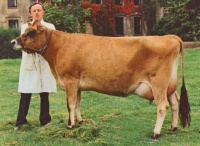 Vernon de Gruchy in 1995, with De Gruchy Bros` Select Benedictine